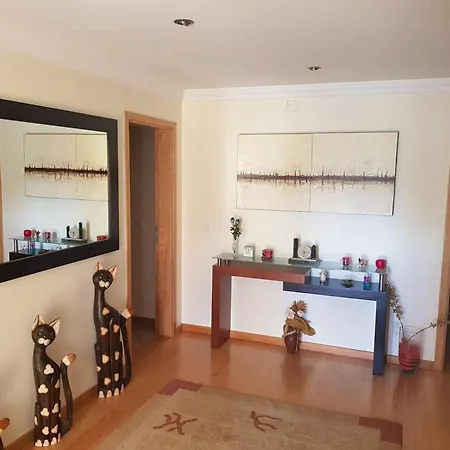 Charming House Near Santiago Da Guarda With Private Pool. Holiday home *
